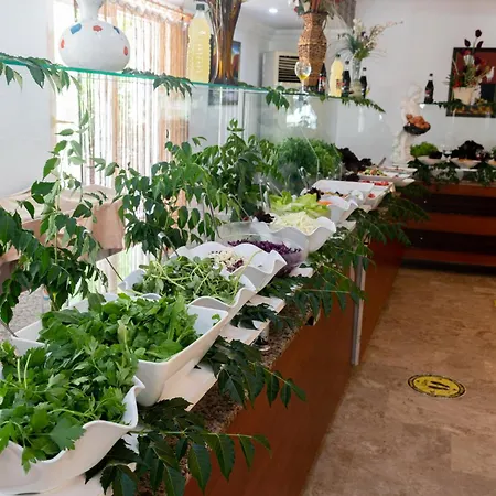 Grand Derin 酒店 贝尔迪比